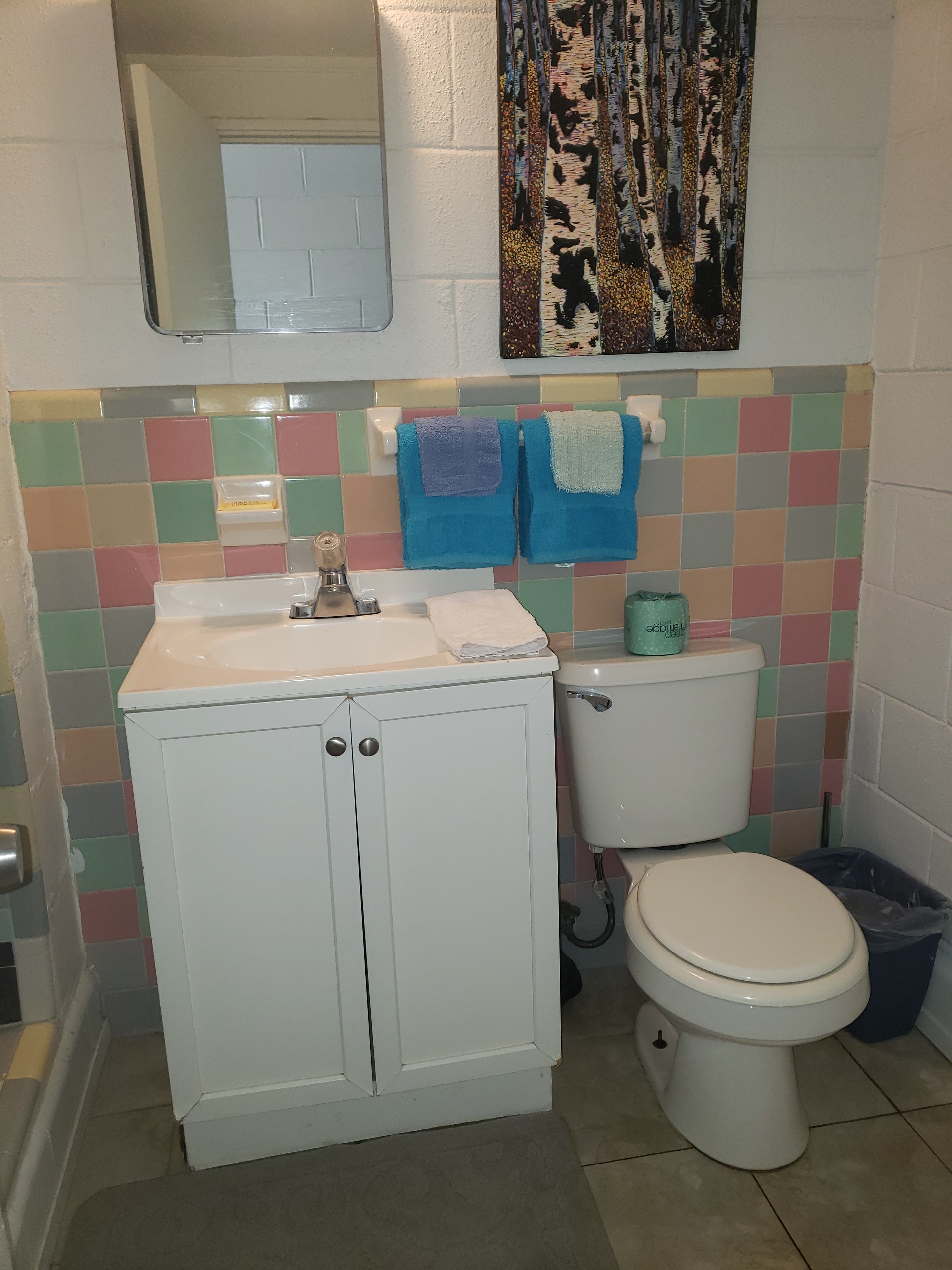1 Bedroom Cabin bathroom